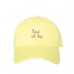 ROSÉ ALL DAY Dad Hat Embroidered Booze Wine Drinking Baseball Caps  Many Styles  eb-18769884