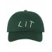 Champagne Papi Font "Lit" Low Profile Dad Hat Baseball Cap  Many Styles  eb-32320267