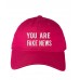 You Are Fake News Embroidered Dad Hat Baseball Cap  Many Styles  eb-09432618