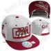 California Baseball Cap CALI Republic Bear Snapback Hat Flat Bill Colors Hat New  eb-88585752