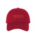 'MERICA Dad Hat Embroidered United States USA Baseball Caps  Many Available  eb-93210926
