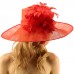 Glorious Side Flip Sinamy Floral Feathers Derby Floppy Dress Wide Brim Hat  eb-23635239