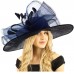 Queen of the Ball Sinamy Floral Spray Feathers Derby Floppy Dress Wide Hat  eb-53559809