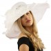 Fancy Diamond Netting Kentucky Derby Floppy Ruffle Wide 7" Dress Church Hat  eb-61661364
