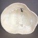 AUGUST HATS CHENILLE CLOCHE HAT IVORY NWT  eb-26068903