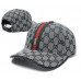 2018   Snapback Adjustable Hiphop Unisex Golf Baseball Caps hats Canvas  eb-19508307