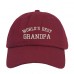 WORLD'S BEST GRANDPA Dad Hat Low Profile Grandfather Baseball Caps  Many Colors  eb-94353654
