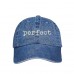 PERFECT Dad Hat Embroidered Completeness Flawless Baseball Caps  Many Available  eb-52779258